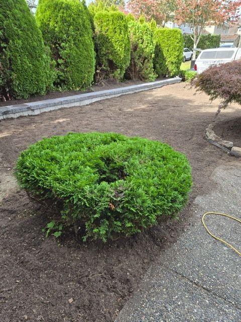 Retaining walls