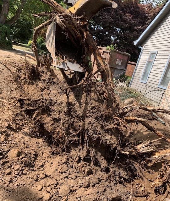 Stump Removal
