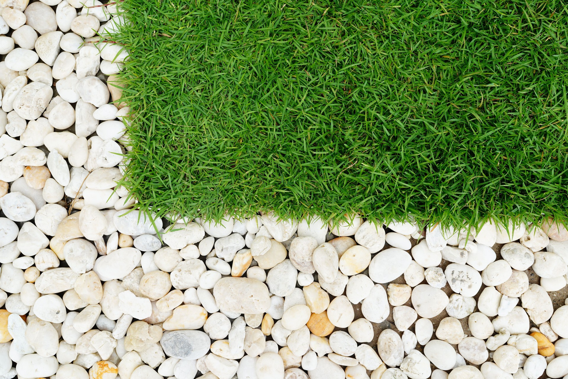 Grass texture and Natural background of small stones