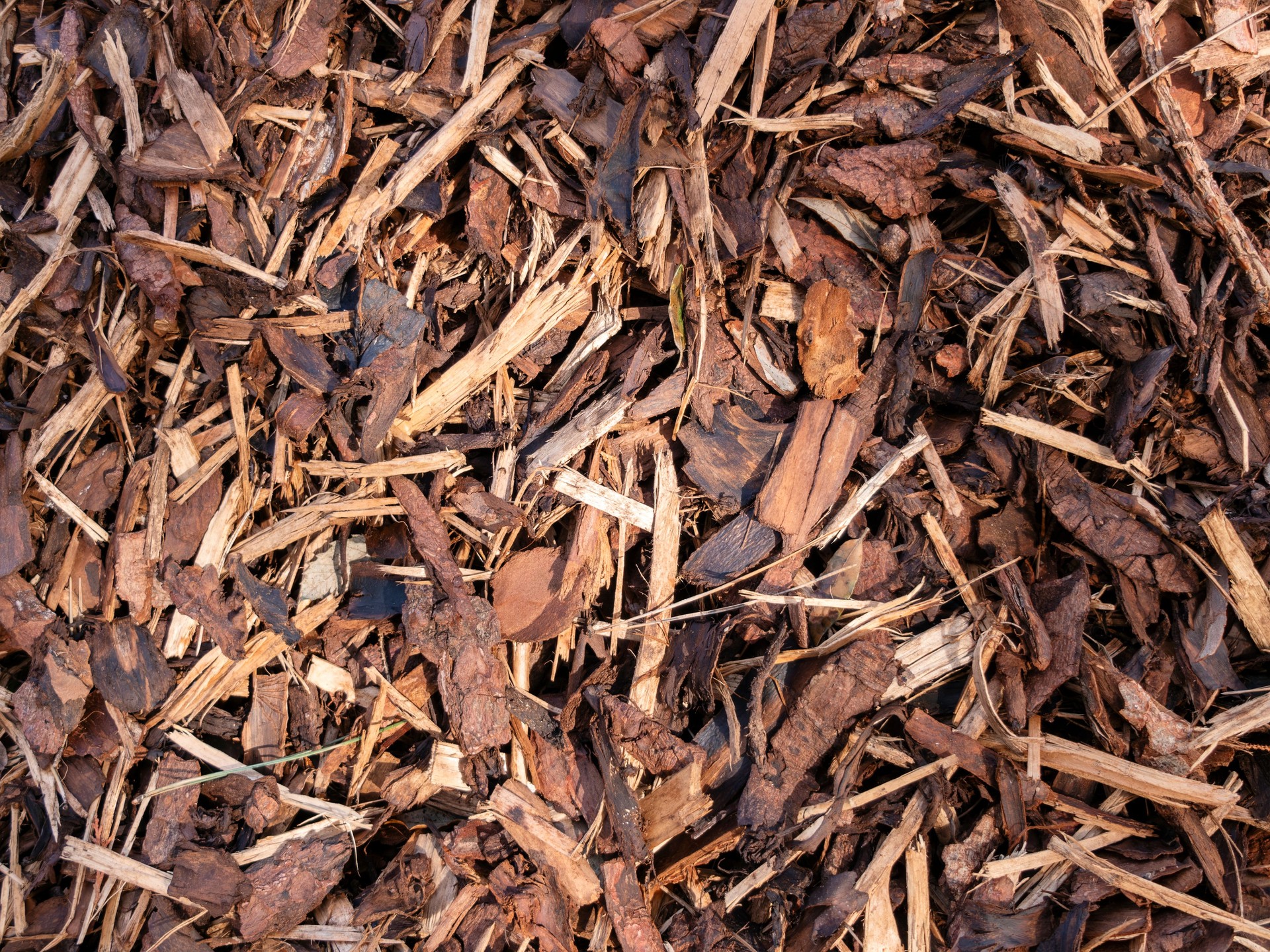 Background of bark chippings for covering soil