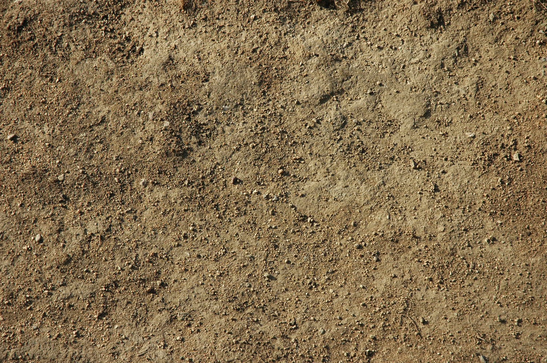 Dirty sandy texture background