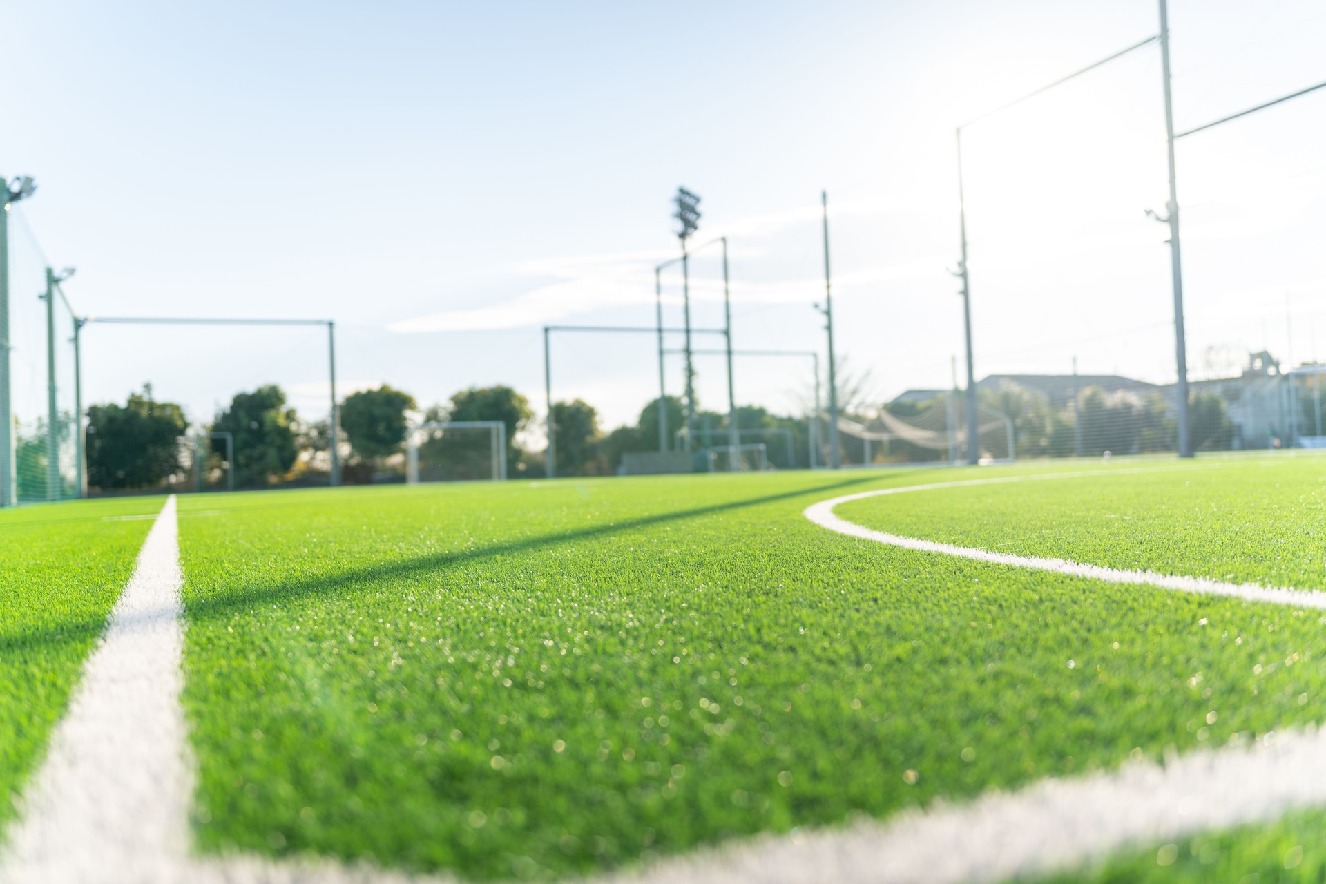 Girls' Soccer Team. Soccer field.